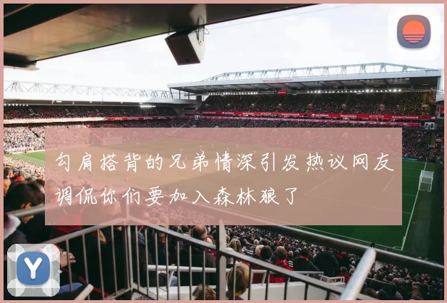 勾肩搭背的兄弟情深引发热议网友调侃你们要加入森林狼了