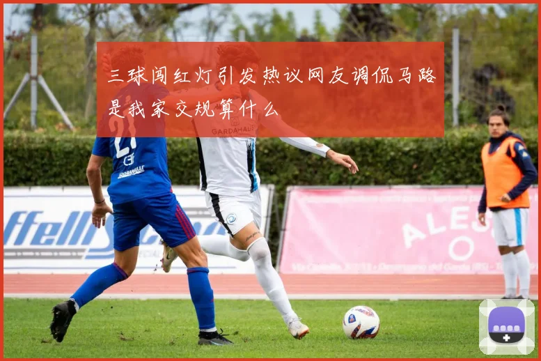 三球闯红灯引发热议网友调侃马路是我家交规算什么