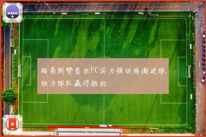 路易斯赞首尔FC实力强劲感谢进球助力球队赢得胜利