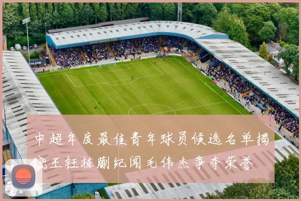 中超年度最佳青年球员候选名单揭晓王钰栋蒯纪闻毛伟杰争夺荣誉